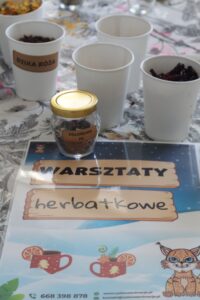 warsztaty herbaciane do przedszkoli