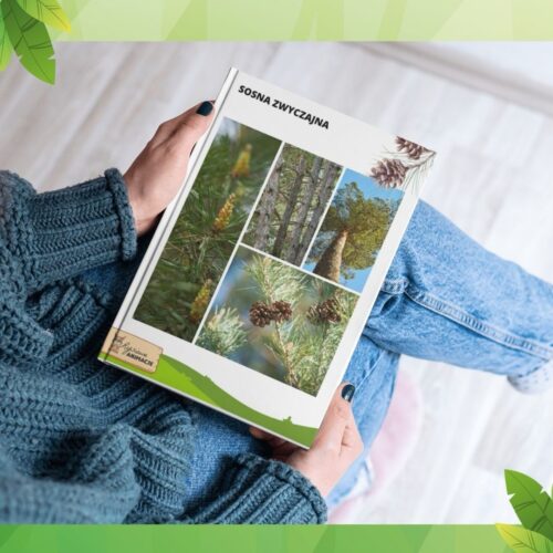 Ebook - dzień drzewa - obrazek 4