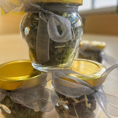 warsztaty z dojazdem do placówek eksperymenty herbatki